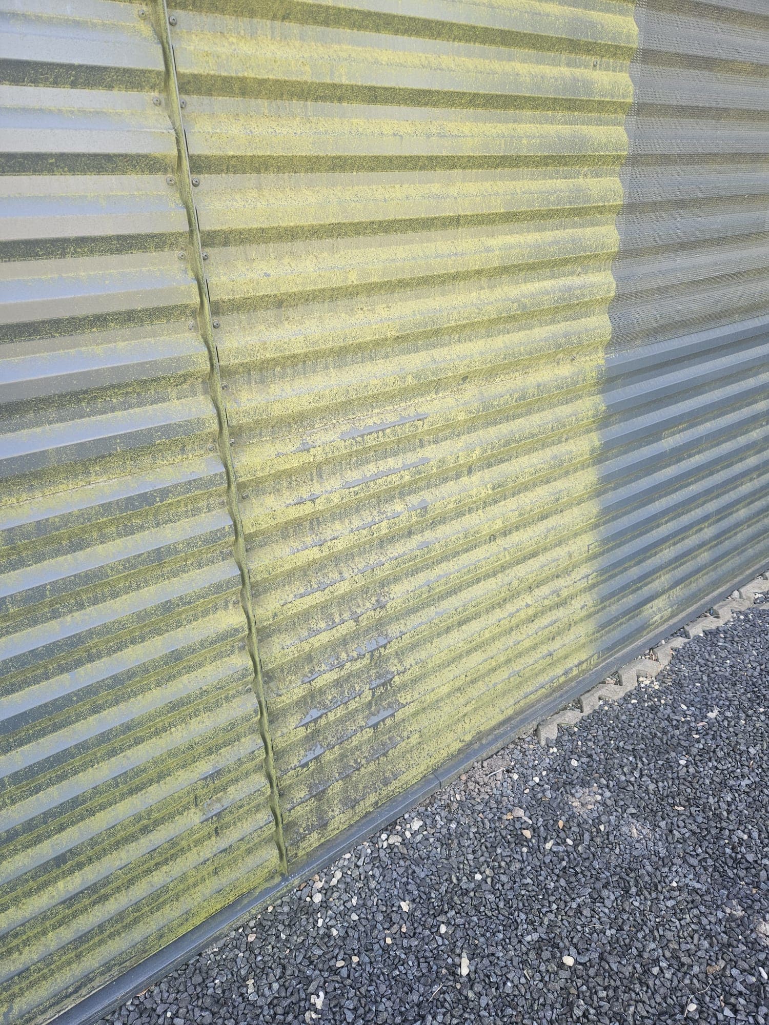 Gevelreiniging in Apeldoorn: damwandgevel met groene aanslag naast het al gereinigde, schone deel